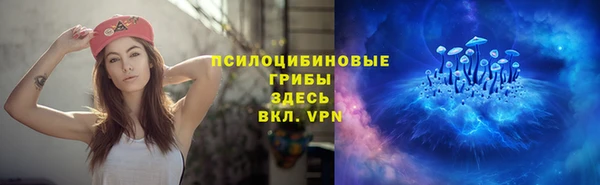 мет Арсеньев