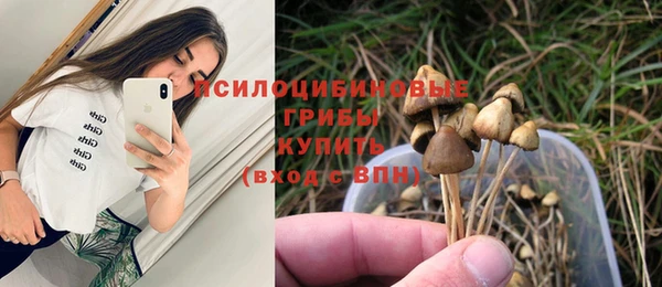 ECSTASY Армянск