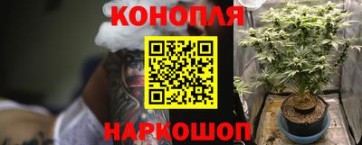 наркотики Бердск