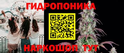 наркотики Бердск