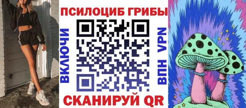 omg вход  наркошоп  Новомосковск  Псилоцибиновые грибы мицелий 