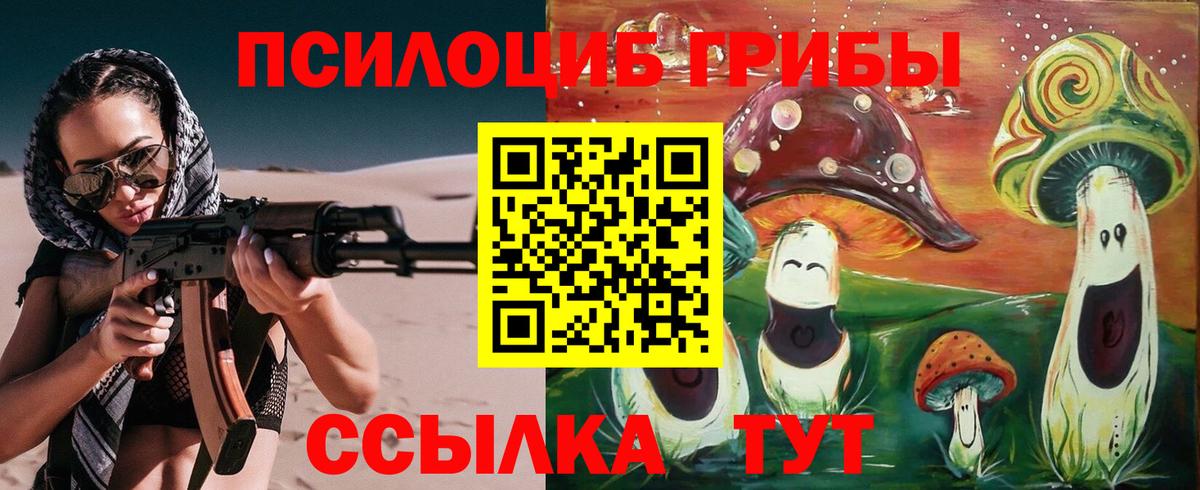  COCAIN Новомосковск